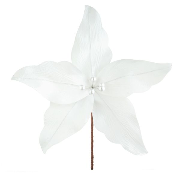 Fiore di Natale bianco Perle de Mercure 24 cm