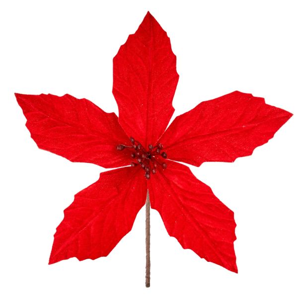 Fiore di Natale rosso Horloge Fleur 24 cm