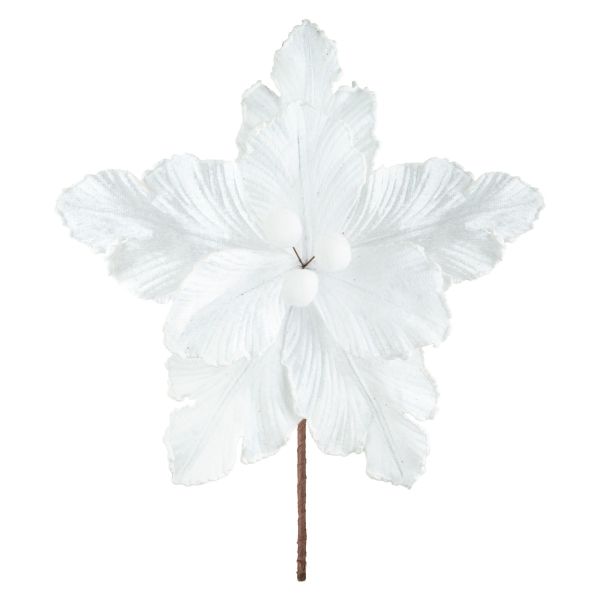 Fiore di Natale bianco Bourgeon de Neige 20 cm