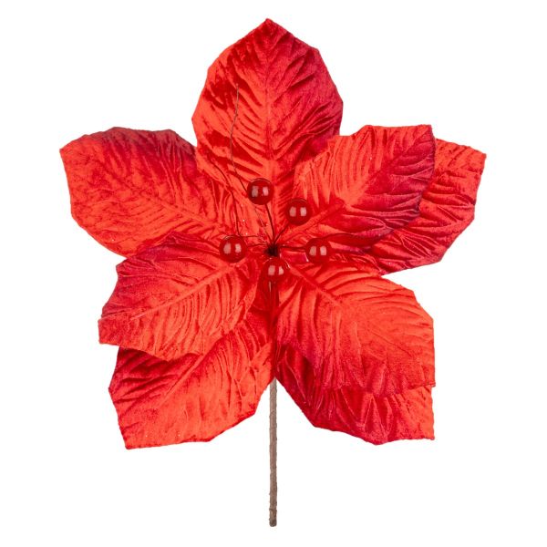 Fiore di Natale rosso Fête des Baies